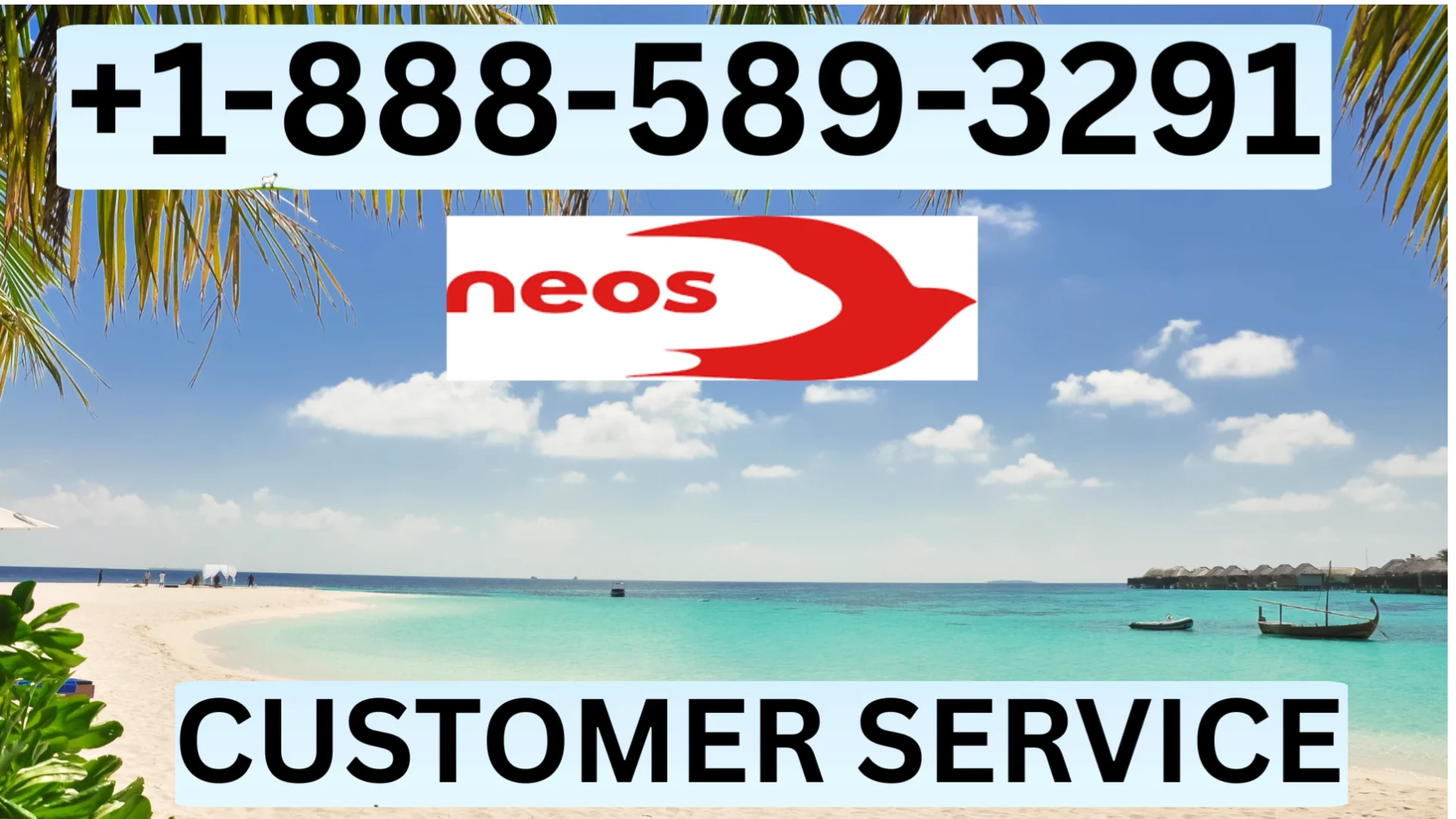 Official Neos Airlines&reg;* Customer Service Complete Official 24-7 Support Guide Call, Email & Chat