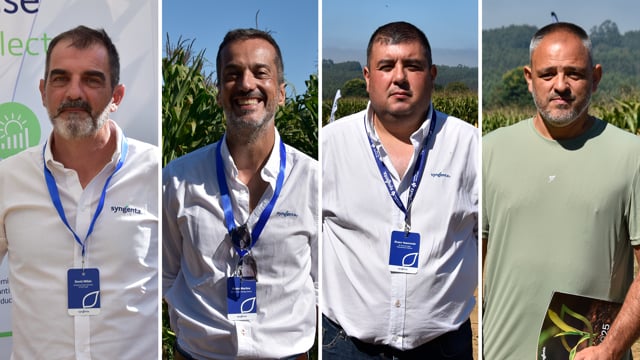 Híbridos, densidades y manejo técnico para maximizar el rendimiento del maíz