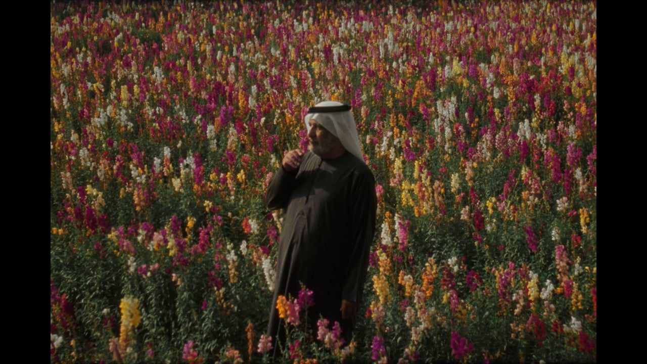 STILLNESS - 2026 (Directed by Omar)
