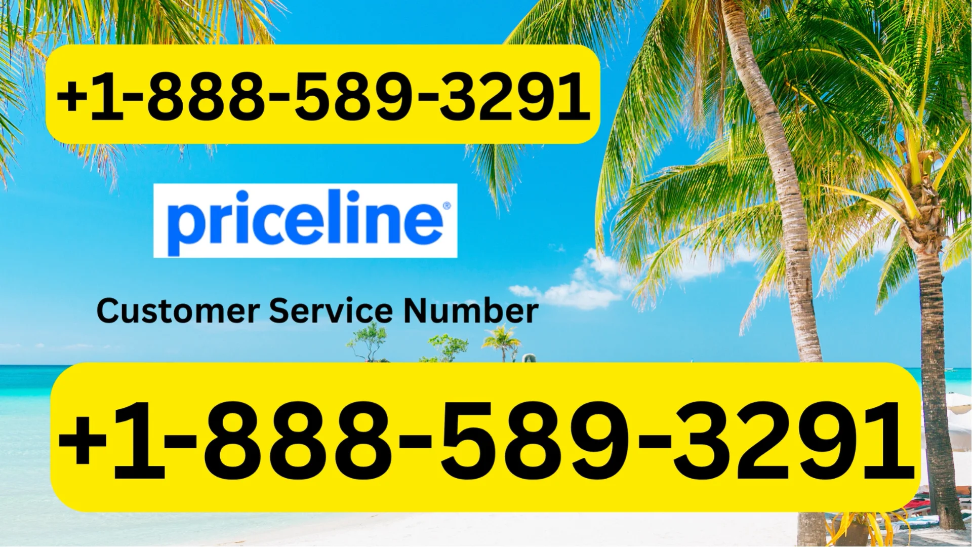 priceline (27)