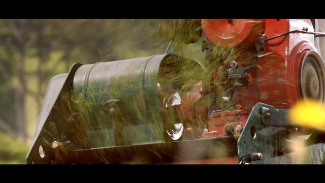 Roll / Rocky Morgan / MJZ / BETC London