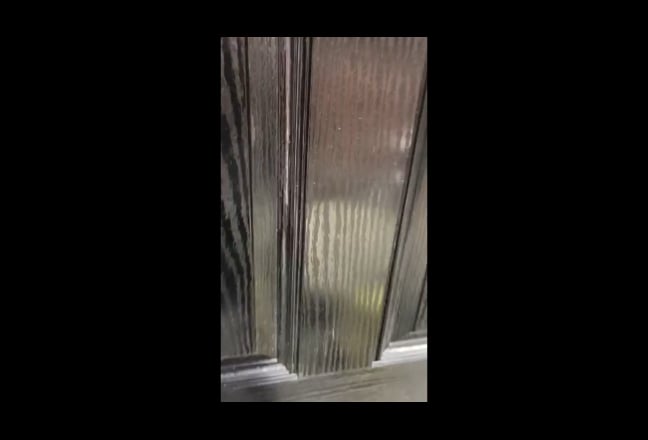 Double Ensuite Room Bills Inc. Female Household Main Photo