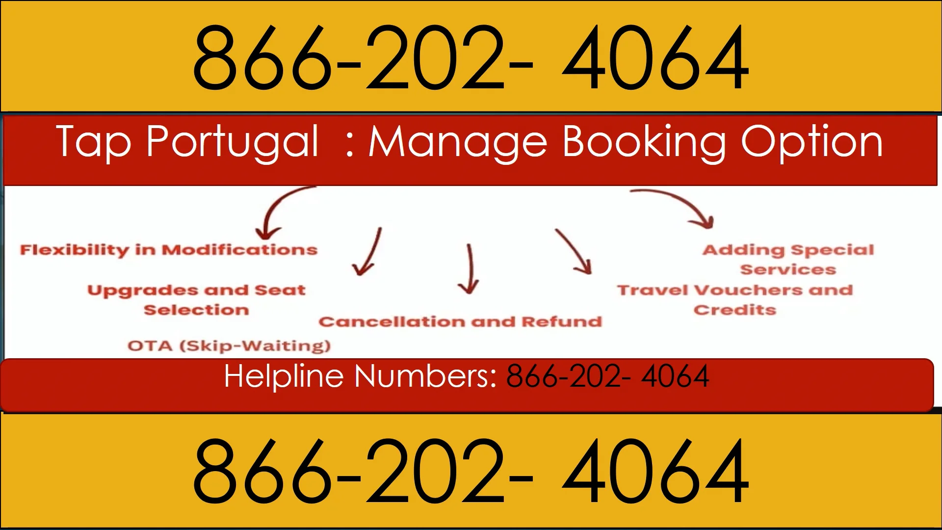 【Tap Portugal】{ { Customer Service Helpline Numbers (+1-866.202.4064   }} Step by Step Help for Calls, Chats & Email