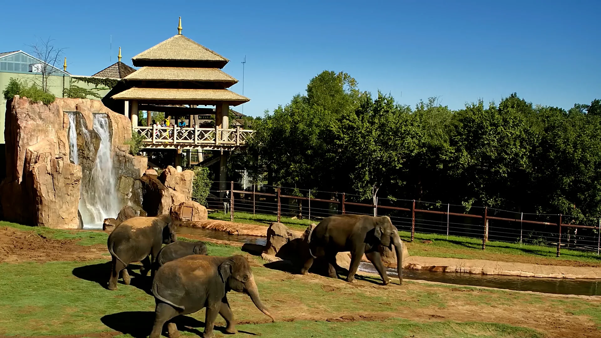 Plan Your Visit