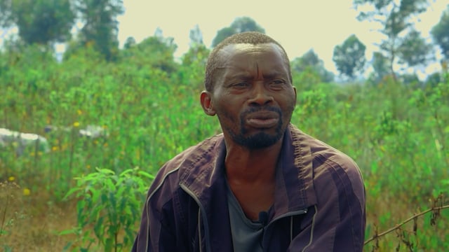 Le silence des abeilles - Vidéo ePOP