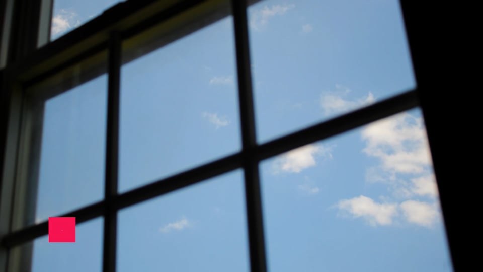 National Lawn & Garden Month: Must-Have Help for the Job