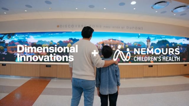 Dimensional Innovations - Company Overview