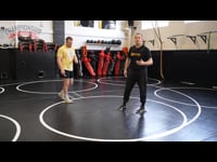 Preview Video #1
