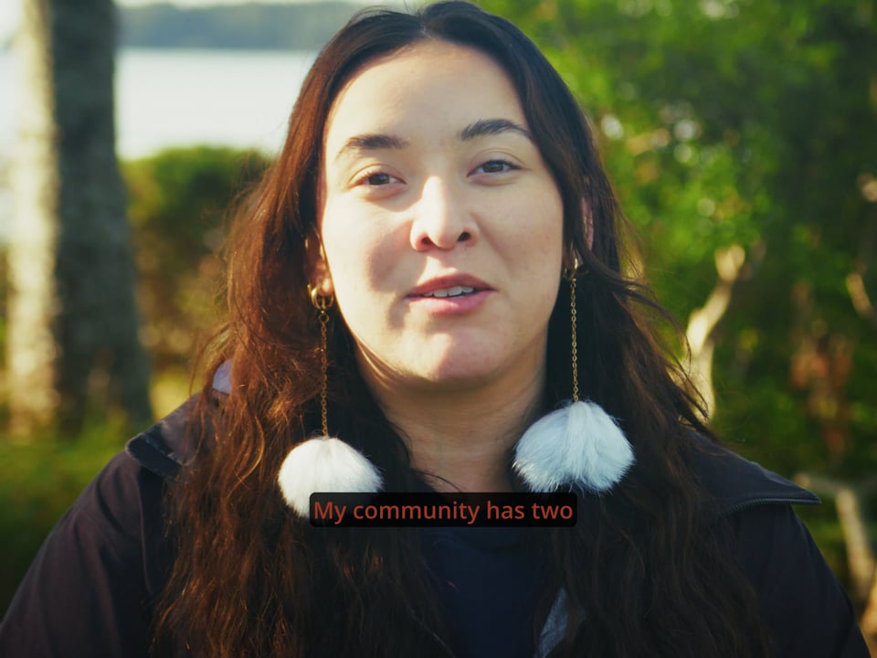 Clips: Cumulative Effects with Janelle