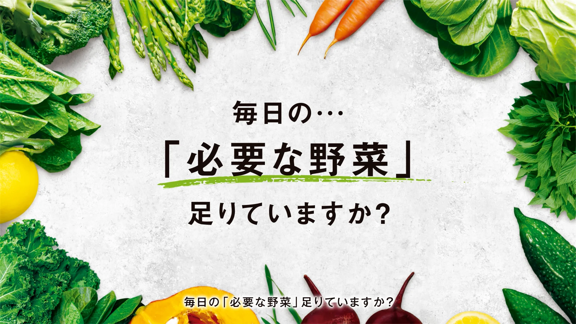 ダイアナ オンラインショップ / ベジベース ファイバー
