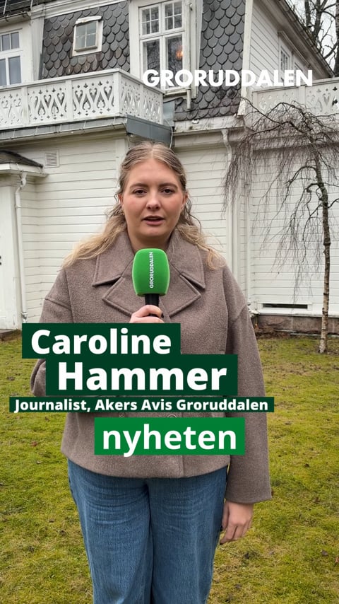 Bydelsreform, hva betyr den for Groruddalen?