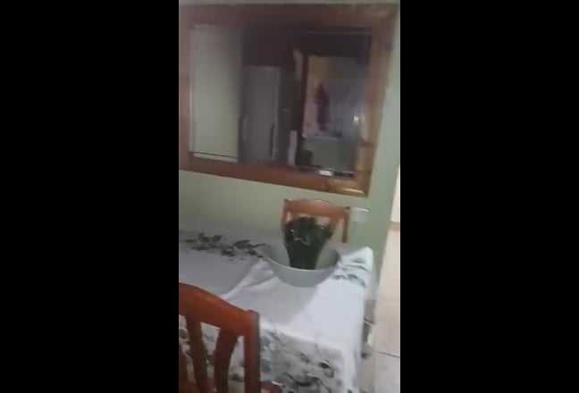 Double in quiet area Main Photo