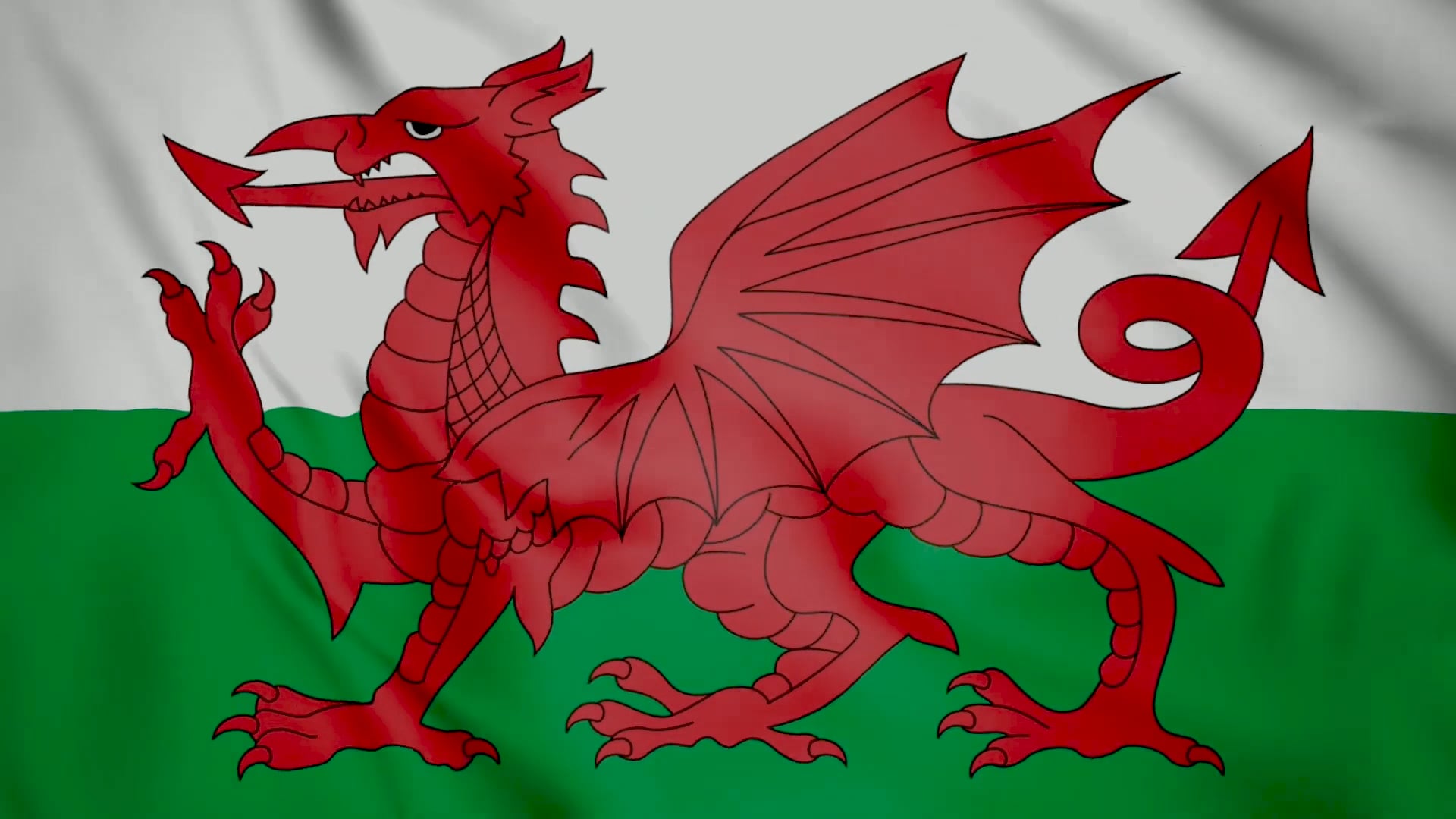 Grow Women Welsh Culture