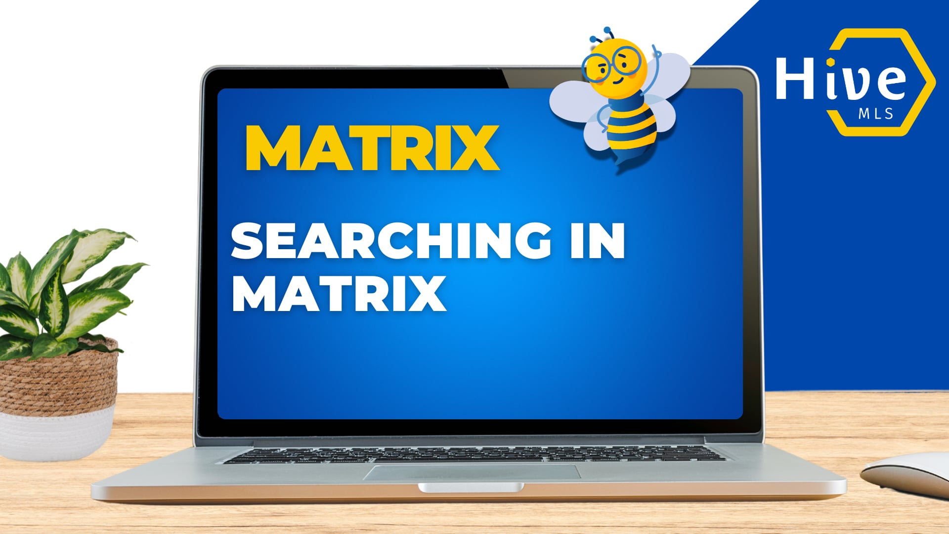 MATRIX Classic Users | HiveMLS.training