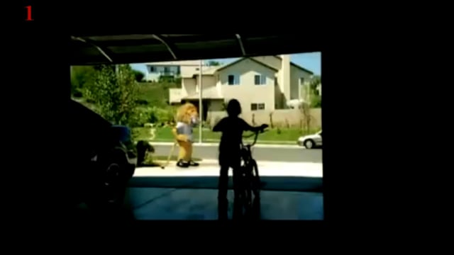 Bicycle Day (LSD)