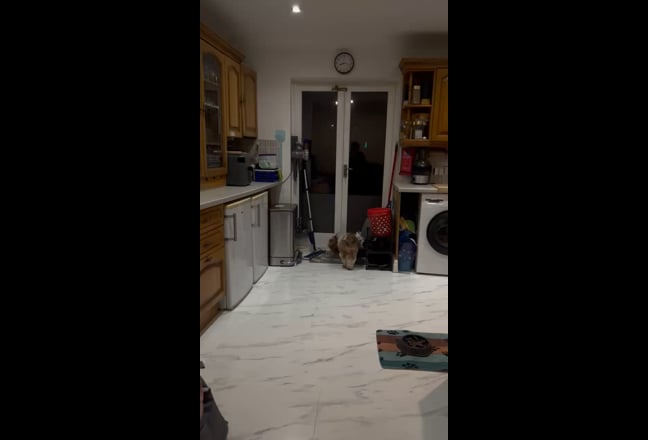 Girls only near 186 busNorthwick Park  dog lovers  Main Photo