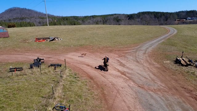 Enlarge Alani, a ADOPTABLE Mixed Breed in Rutherfordton, NC video 1/5