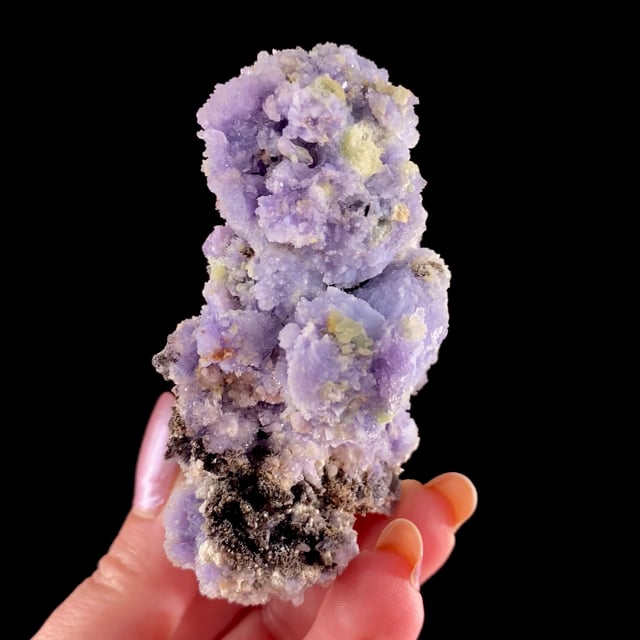Special Auction - $249 Specimens