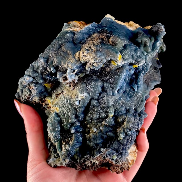 Special Auction - $249 Specimens