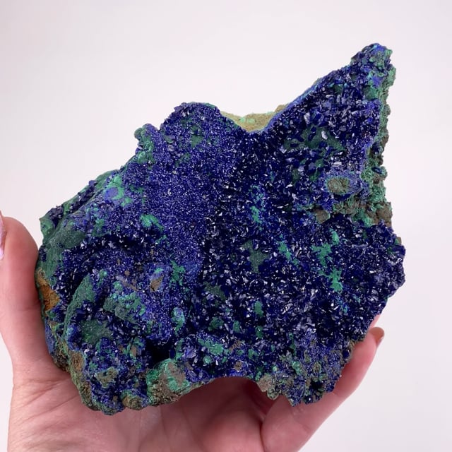 Special Auction - $249 Specimens