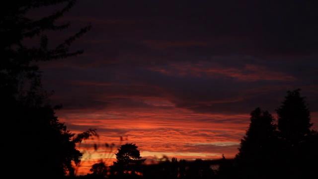 2011 Season Ender from jamie ledson