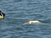 La UEC de l'Escala participa al projecte Surfing for Science