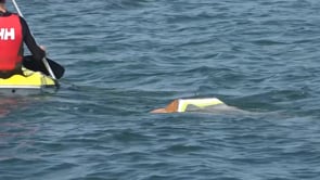 La UEC de l'Escala participa al projecte Surfing for Science