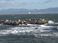 La tramuntana torna a superar els 100km/h i n'hi ha per dies