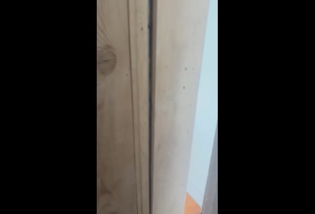 Large double room friendly flatshare short term Main Photo