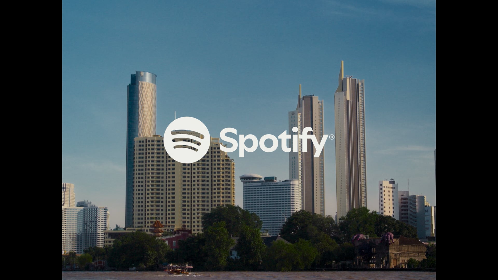 SPOTIFY: Solo Fan Spotlight