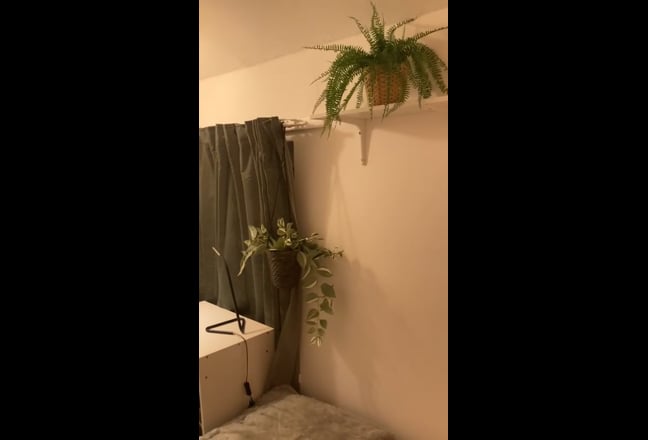 Lovely room, friendly, quiet house, all bills inc Main Photo