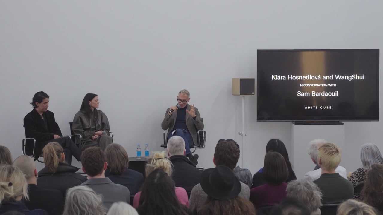 WangShui & Klara Hosnedlova White Cube 2026