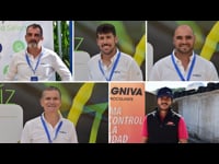 Protección, bioestimulación e dixitalización: o enfoque integral de Syngenta en millo