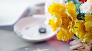 Related Embedded Video Item Thumbnail