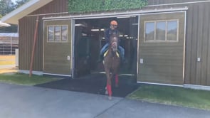 動画サムネイル