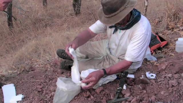 Science at FMNH - African Paleontology