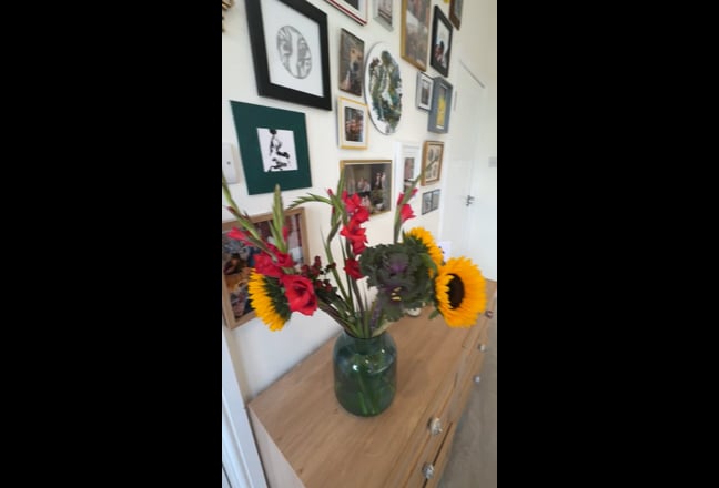 Double room, ensuite, must be dog friendly! Main Photo