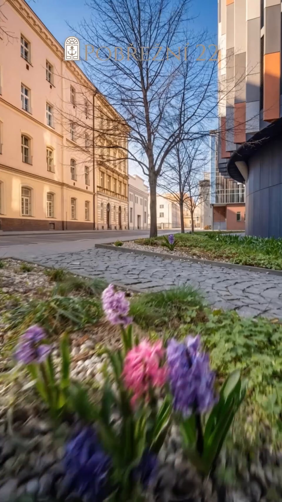 Chundela Reality - Pobřežní 22 — video