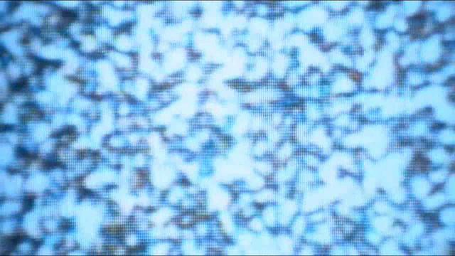 Starfawn - 12,000 B.C. thumbnail