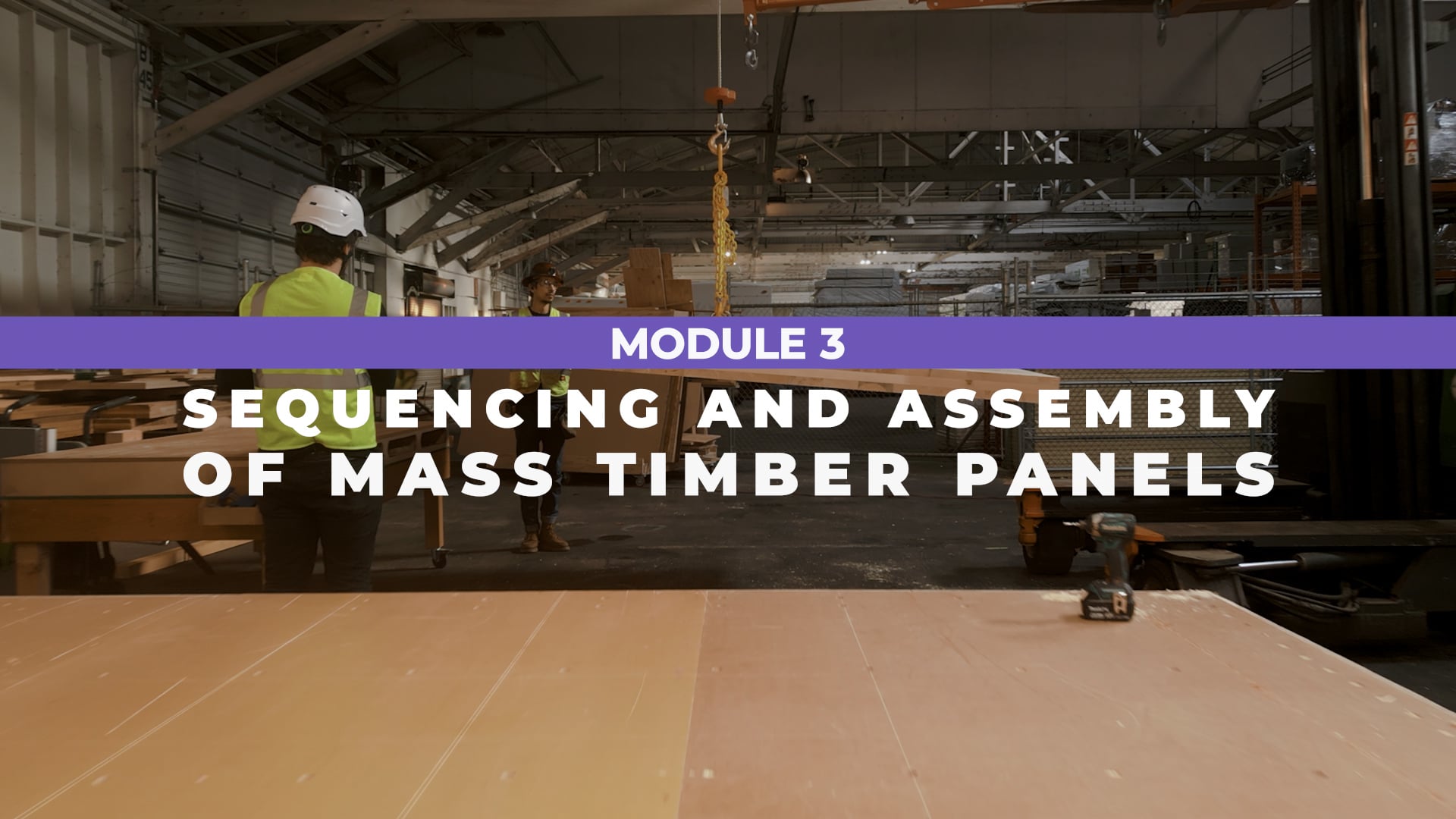 Module 3 Sequencing and Assembly of Mass Timber Panels (optional ...