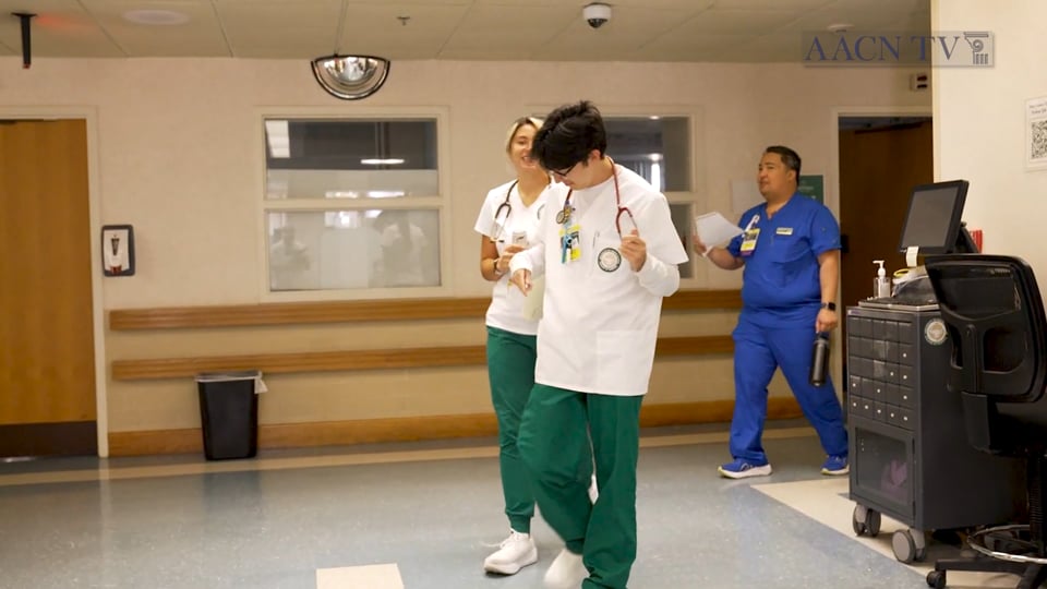 University of South Florida College of Nursing