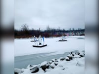 Light Anemones - Niagara Falls