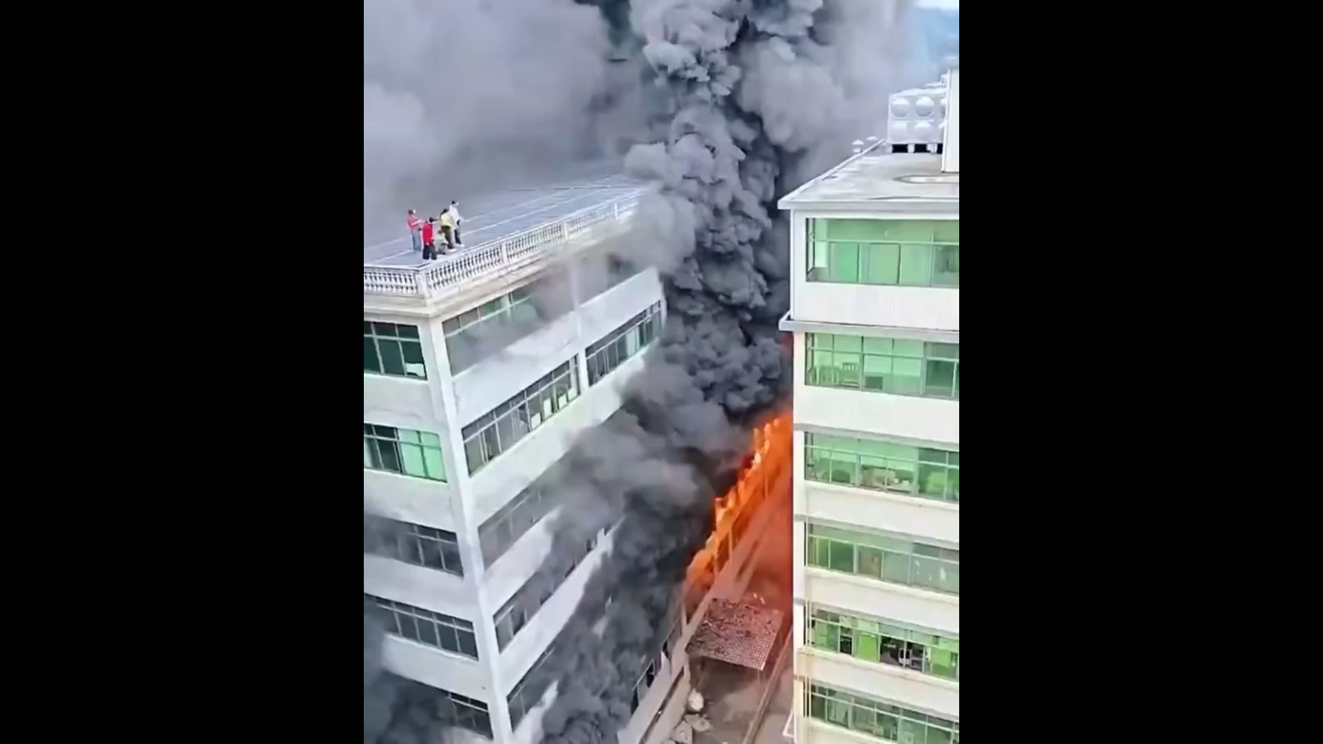 चीन के देहुआ शहर में एक ऊंची इमारत में बहुत ही भीषण आग लग गई, आग के दौरान कई लोग छत पर फंस गए, जिन्हें बचाने के लिए राहत और बचाव अभियान चलाया गया, दमकल कर्मियों ने मौके पर पहुंचकर कड़ी मशक्कत के बाद लोगों को सुरक्षित बाहर निकाला