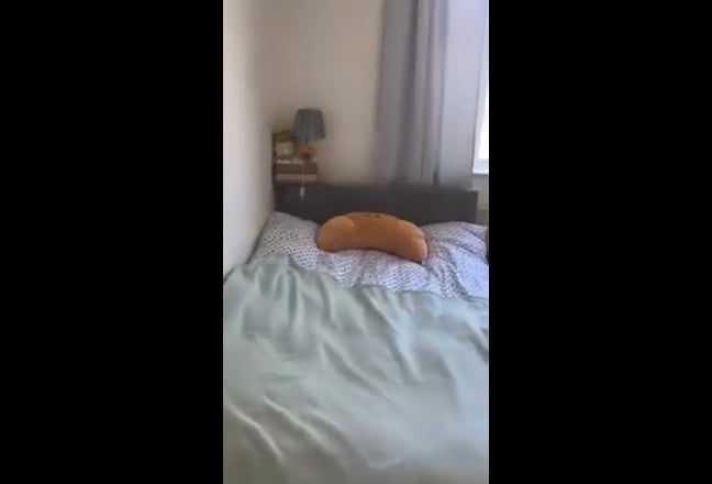 Double Room in Calm Female Flat - Hendon Central Main Photo