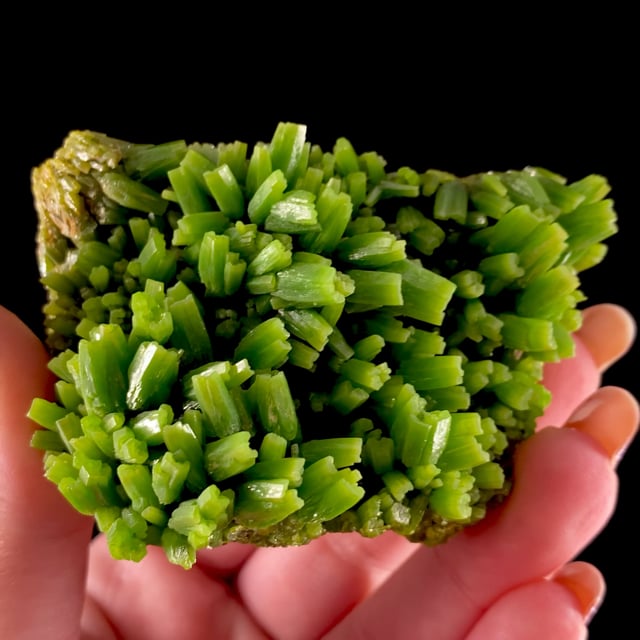 Pyromorphite (excellent) (early 2000s) | Daoping Mine, Gongcheng Co ...