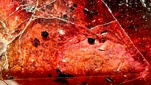 Related Embedded Video Item Thumbnail