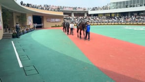 動画サムネイル