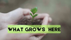 What Grows Here