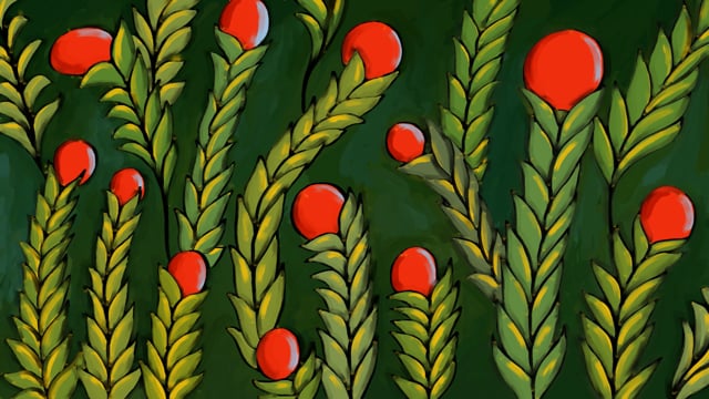 Thumbnail for The Eating of an Orange