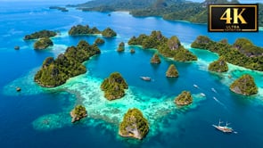 Underwater Short Film - Inside The Coral Triangle